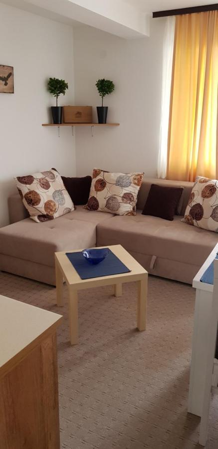 Dobricin Konak, Apartman 202 Κοπαόνικ Εξωτερικό φωτογραφία