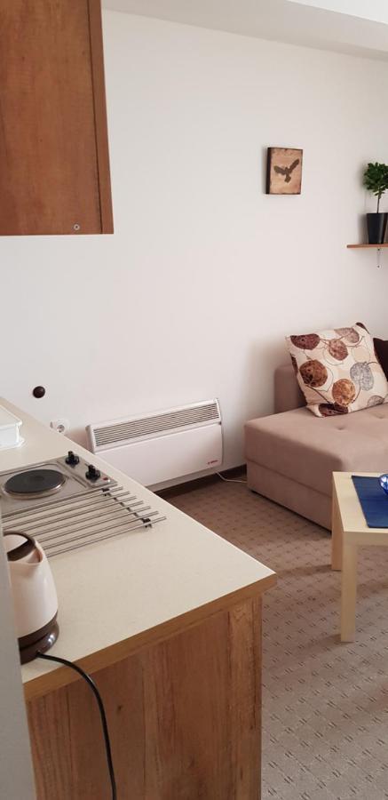 Dobricin Konak, Apartman 202 Κοπαόνικ Εξωτερικό φωτογραφία